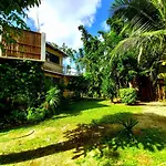 New! Casa Xola Cenote And Fauna Loft