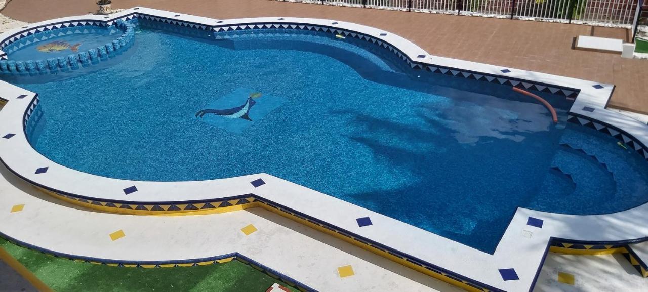 Villa New! Casa Xola Cenote And Fauna Loft Cozumel