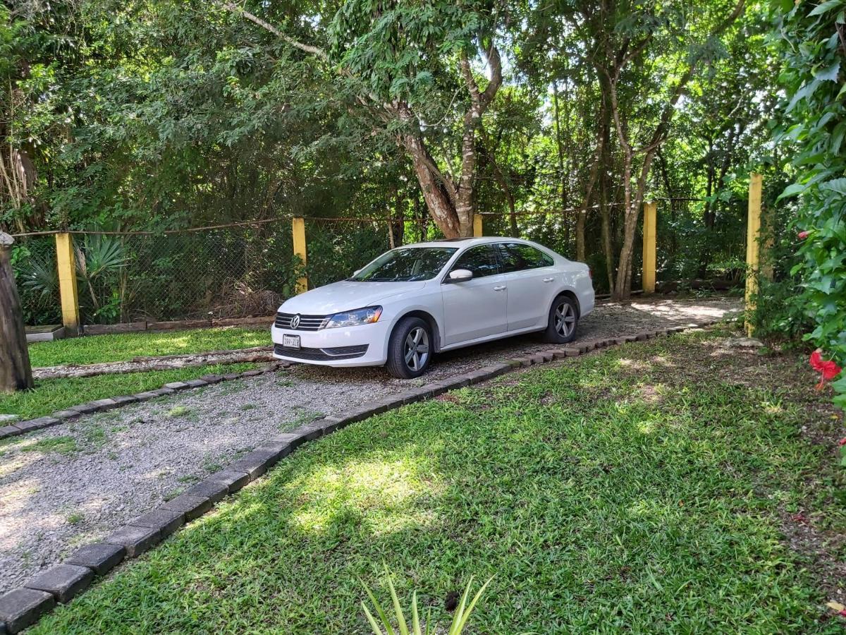 New! Casa Xola Cenote And Fauna Loft *