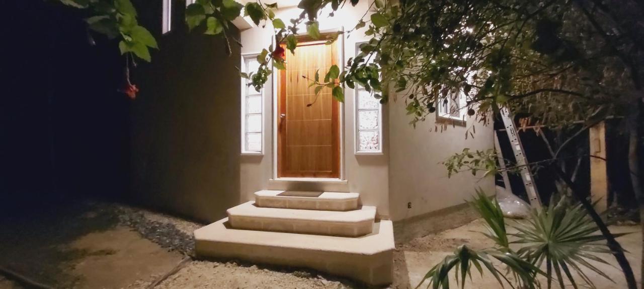 New! Casa Xola Cenote And Fauna Loft Villa Cozumel