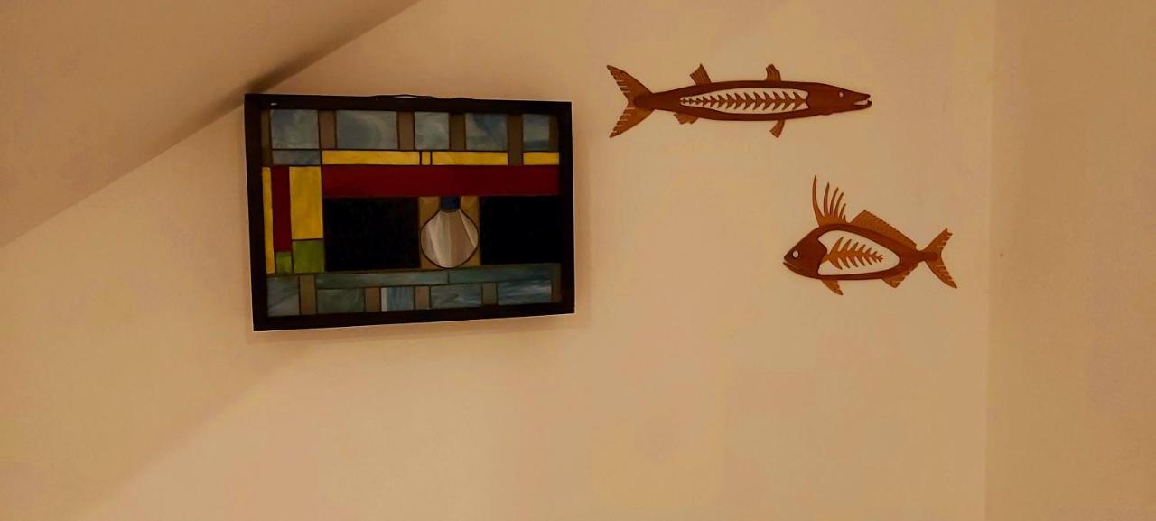 New! Casa Xola Cenote And Fauna Loft Cozumel