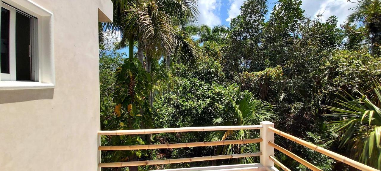 New! Casa Xola Cenote And Fauna Loft * Cozumel