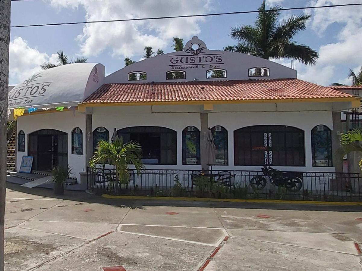 New! Casa Xola Cenote And Fauna Loft Cozumel