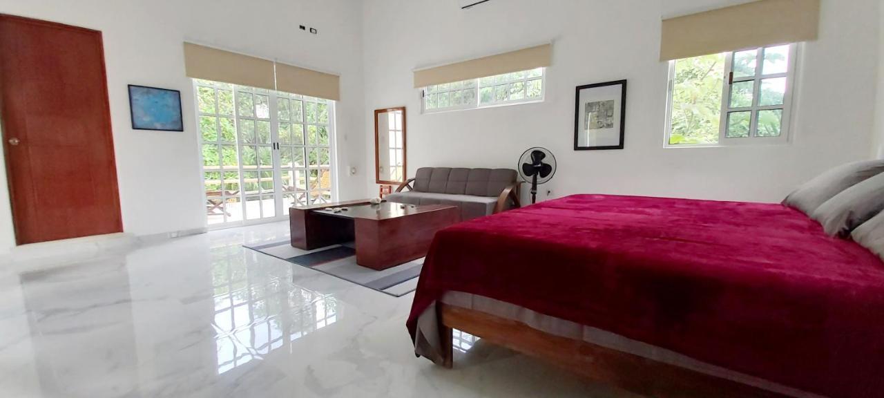New! Casa Xola Cenote And Fauna Loft