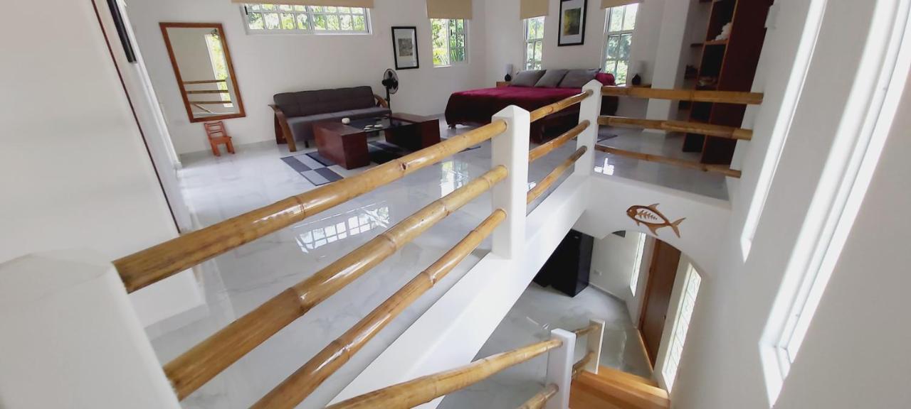 New! Casa Xola Cenote And Fauna Loft