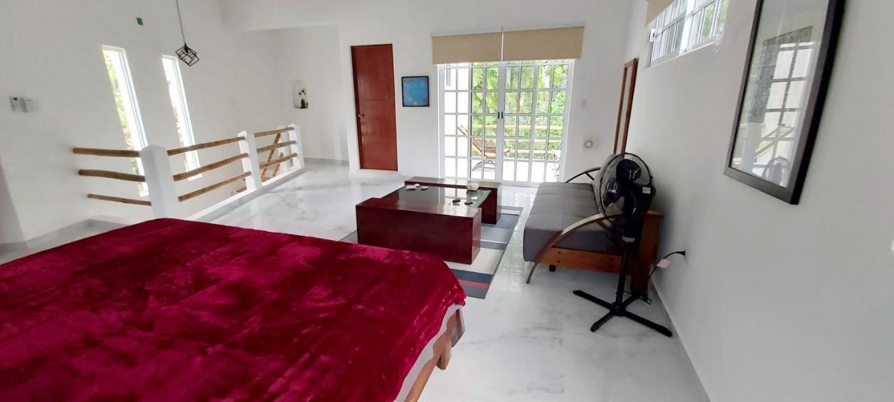 Villa New! Casa Xola Cenote And Fauna Loft Cozumel