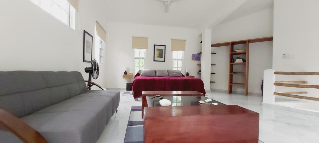 New! Casa Xola Cenote And Fauna Loft *