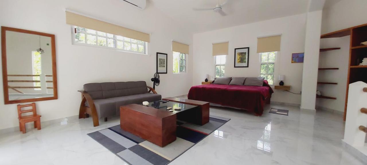 Villa New! Casa Xola Cenote And Fauna Loft Cozumel