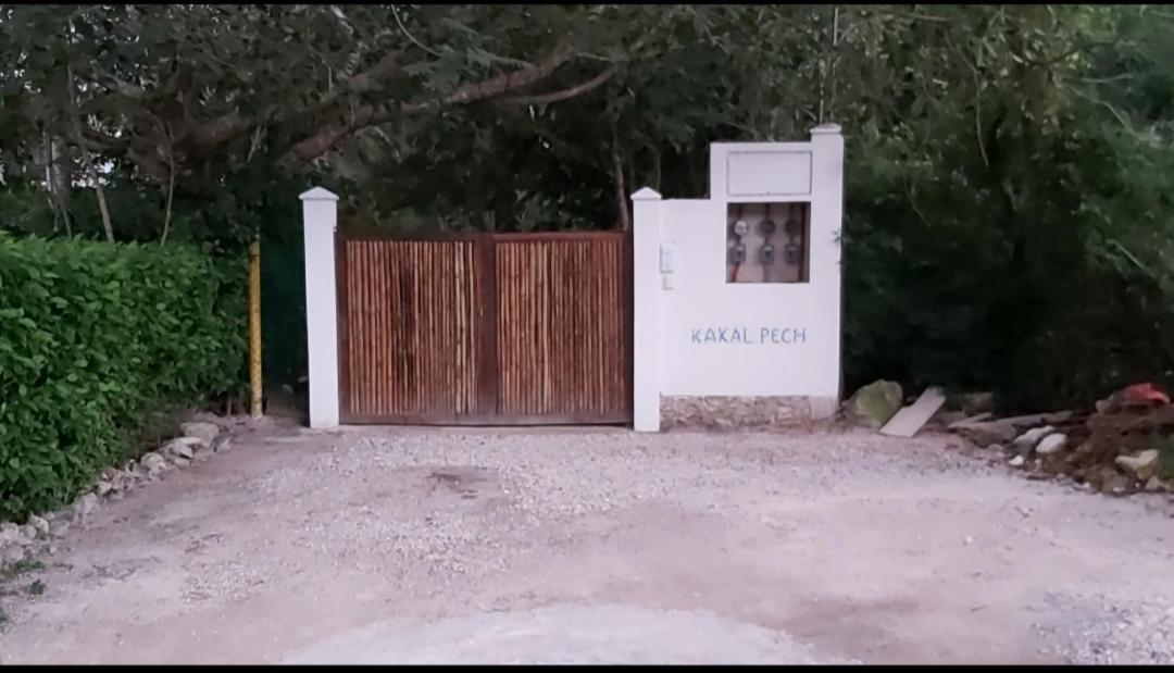 New! Casa Xola Cenote And Fauna Loft Cozumel